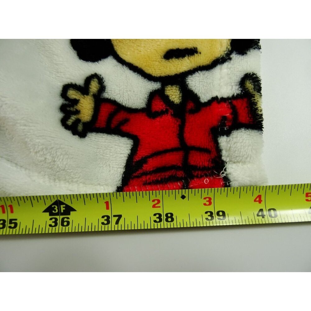 Peanuts Fleece Blanket Remind 40x25 Charlie Brown Lucy - Picture 6 of 7